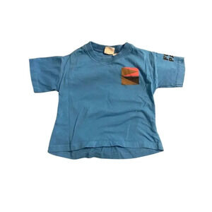 Zara Boys Blue Fuji Park Graphic T-Shirt 9-12 Months Casual Wear